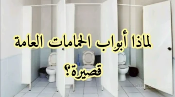 لغز حير الملايين.. الكشف عن السبب الحقيقي وراء الأبواب القصيرة في الحمامات العامة 1